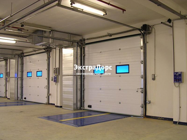 Подъемные автоматические противопожарные ворота с окнами в Жуковском  купить