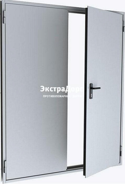 Противопожарная дверь двухстворчатая дымогазонепроницаемая в Жуковском  купить