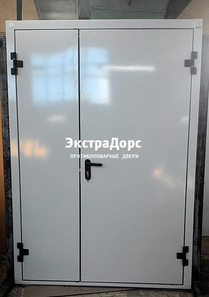 Противопожарная дверь EI 30 3 типа двупольная белая в Жуковском  купить