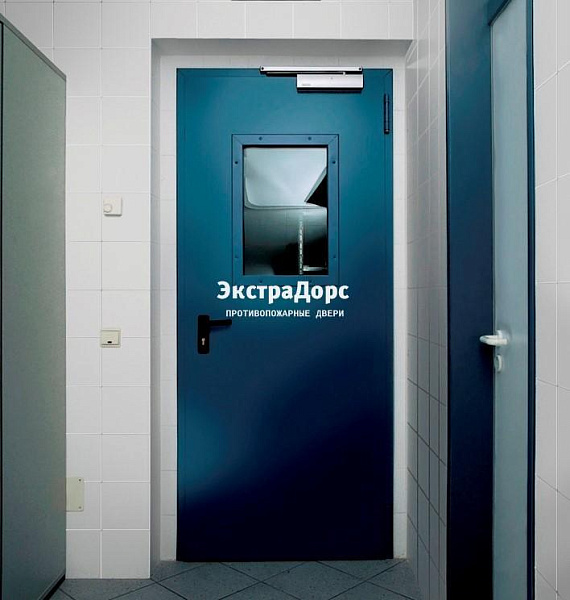 Противопожарная дверь 1 типа синяя c выпадающим порогом с остеклением в Жуковском  купить