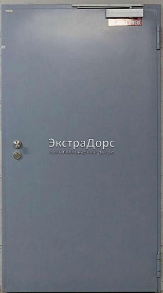 Противопожарная дверь однопольная дымогазонепроницаемая металлик в Жуковском  купить