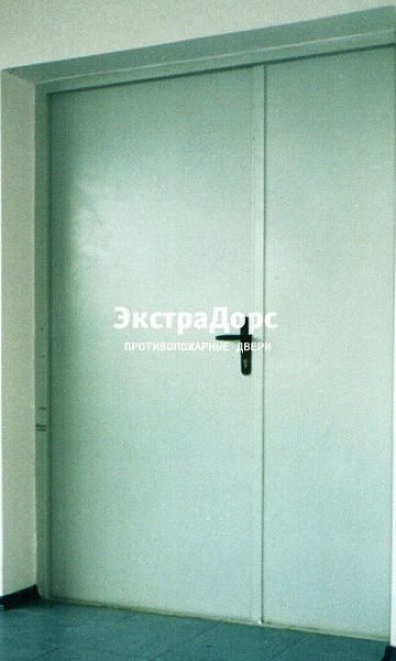 Противопожарная дверь двупольная белая без порога в Жуковском  купить