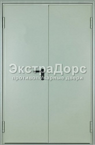 Противопожарная глухая двупольная дверь