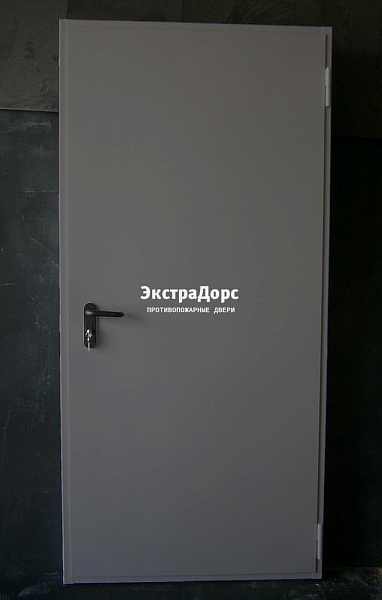 Дверь металлическая противопожарная EI 60 ДПМ 2 типа серая в Жуковском  купить